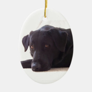 labrador retriever julgransprydnad keramik