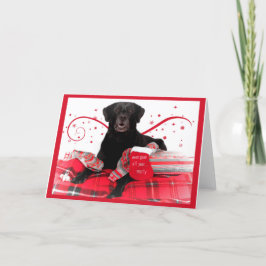 Labrador Retriever-julkort Helgkort