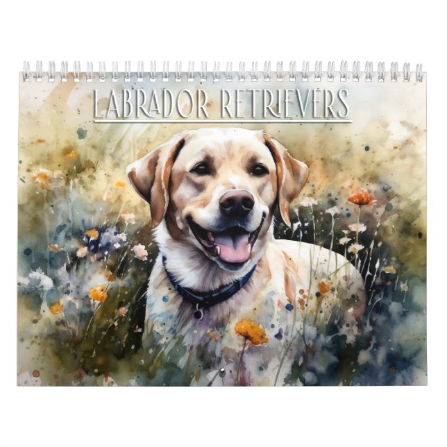 Labrador Retriever-kalender, kalender för alla år (Omslag)