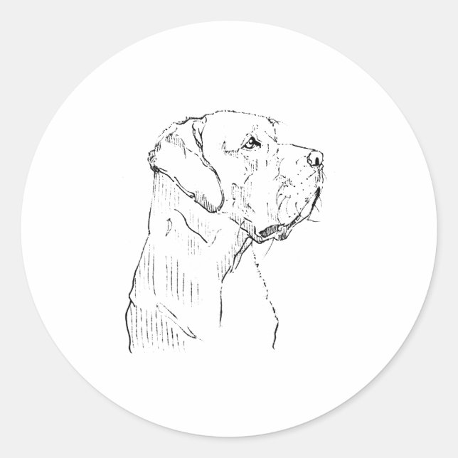 Labrador Retriever Klistermärke (Framsida)