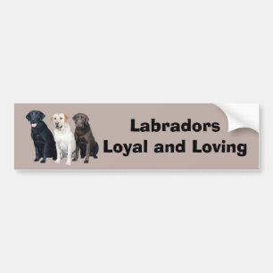 Labrador Retriever Klistermärke