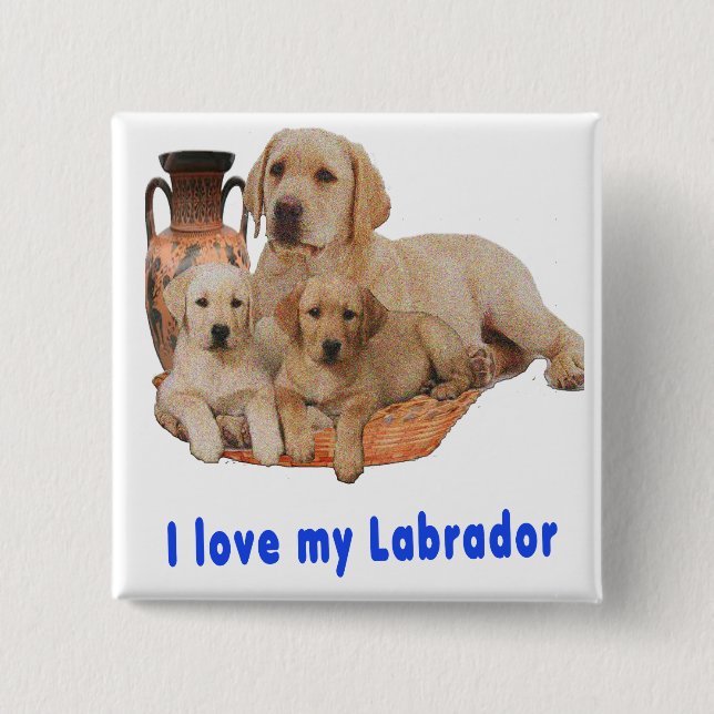 Labrador Retriever Knapp (Framsida)