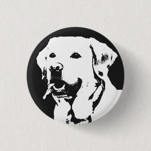 Labrador Retriever Knapp