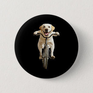 Labrador Retriever Knapp
