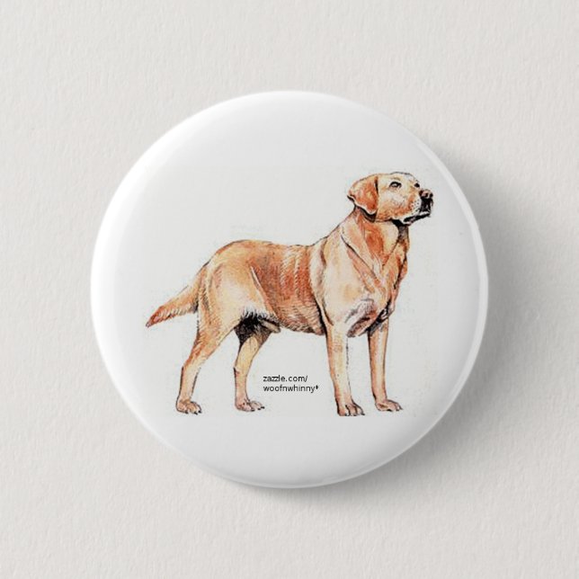 Labrador Retriever Knapp (Framsida)