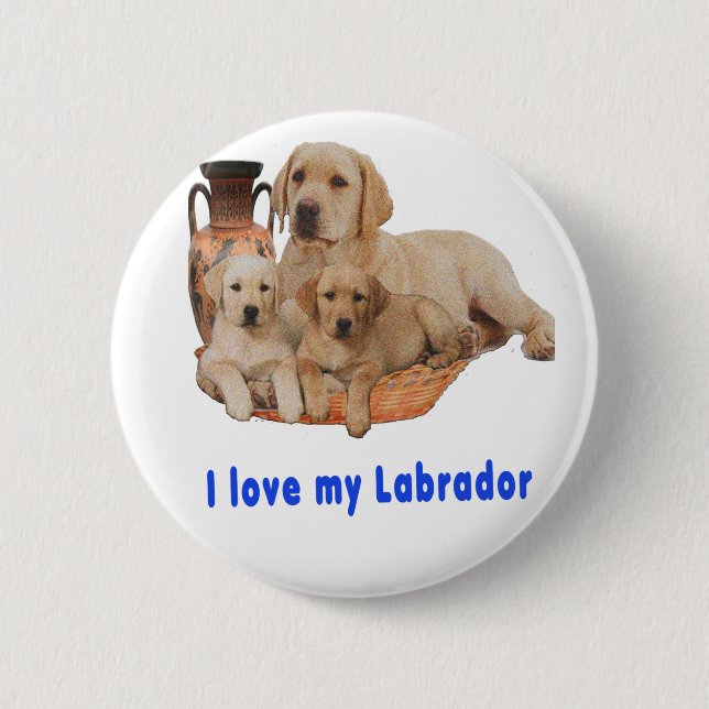 Labrador Retriever Knapp (Framsida)