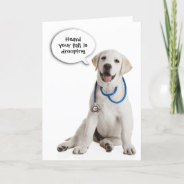 Labrador Retriever kommer snart Kort