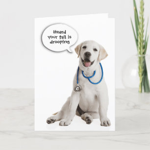 Labrador Retriever kommer snart Kort