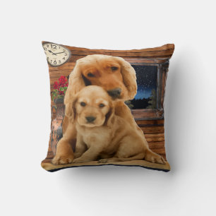 Labrador Retriever Kudde