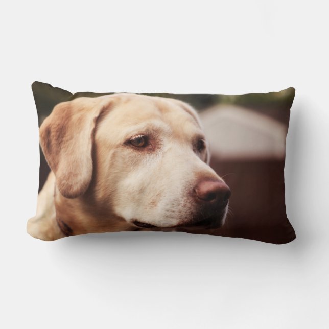 Labrador Retriever Lumbarkudde (Framsida)
