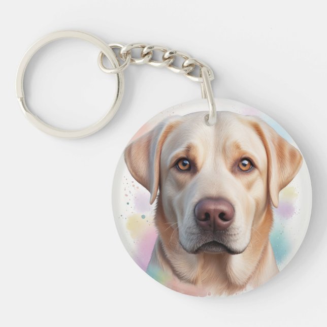 Labrador Retriever Magic Whimsical Art (Framsidan)