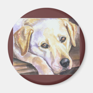 Labrador Retriever Magnets Magnet