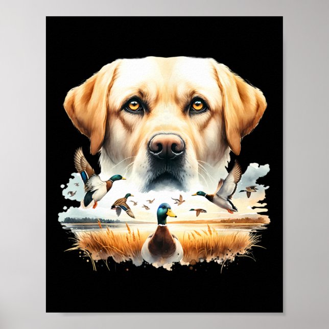 Labrador Retriever med gräsänder som jagar anka Poster (Framsidan)