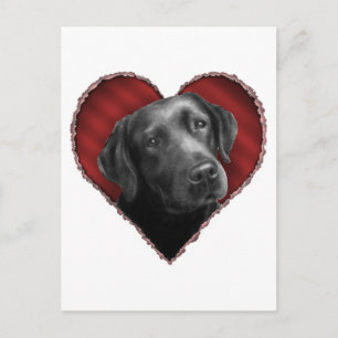Labrador Retriever med hjärta Vykort