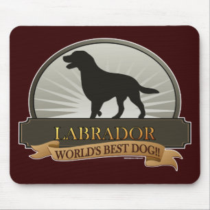 Labrador Retriever Musmatta