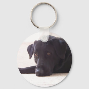labrador retriever nyckelring