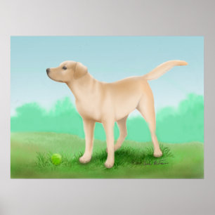 Labrador Retriever och hans tennis Boll Poster