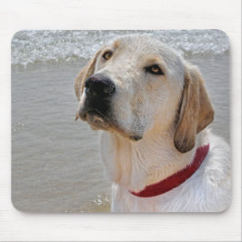 Labrador Retriever på stranden Musmatta