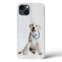 Labrador Retriever på Whitewaschat Wood
