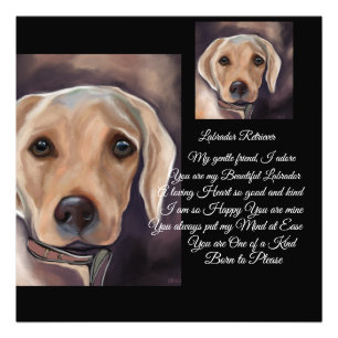 Labrador Retriever-poesi Fototryck