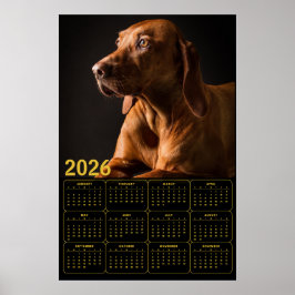 Labrador Retriever Portrait with 2026 Calendar Poster