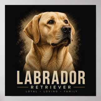 Labrador Retriever Porträtt Lojal Familjehund Poster