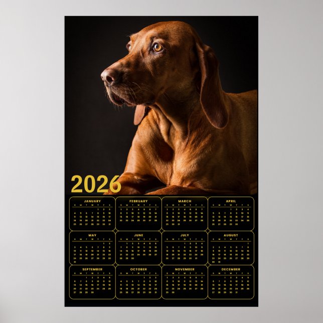 Labrador Retriever Porträtt med 2026 Kalender Poster (Framsidan)