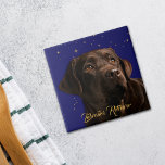 Labrador Retriever Porträtt Starry Himlar Backgrou Kakelplatta<br><div class="desc">Alla som har borttappad till en regal Labrador Retriever Hund kommer att kärlek denna bricka! Den har en underbar chokladchokladfärgad Labrador Retriever tittar mot en blå nattstjärna himlar fylld med guld stjärnor. Grund har anpassningsbar i guld-skript som säger "Labrador Retriever". Du kan anpassa texten eller till och med ta bort...</div>