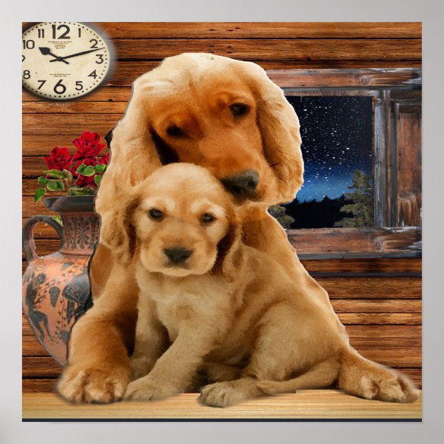 Labrador Retriever Poster (Framsidan)