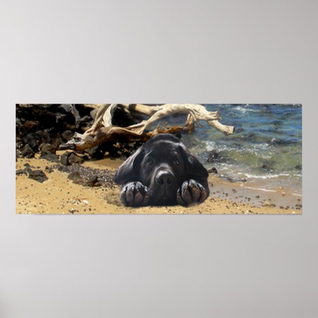 Labrador Retriever Poster Beach (Framsidan)