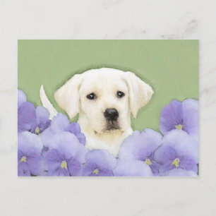 Labrador Retriever Puppy Paediatric Original Hund  Vykort