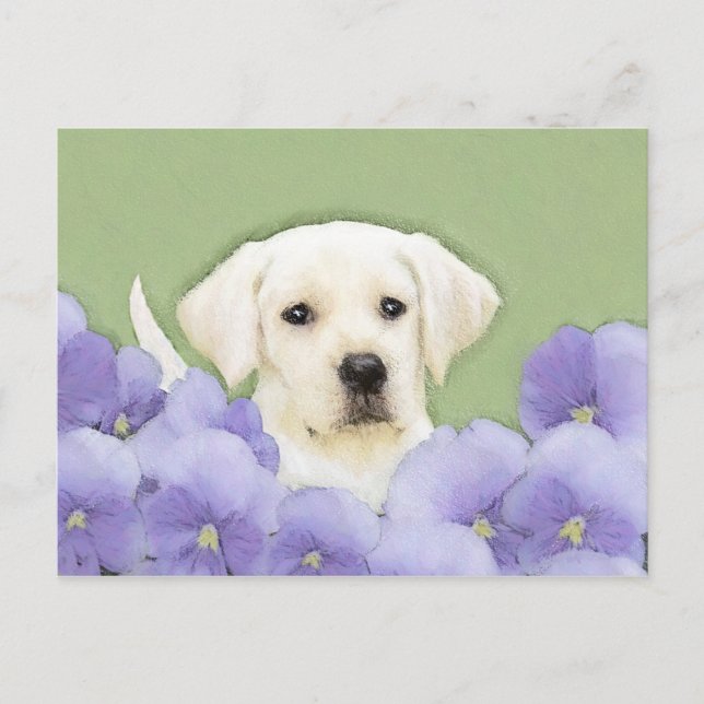 Labrador Retriever Puppy Paediatric Original Hund  Vykort (Framsida)