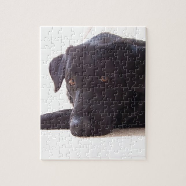 labrador retriever pussel (Vertikal)