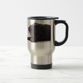 labrador retriever resemugg