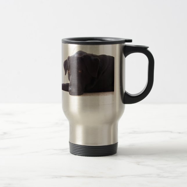 labrador retriever resemugg (Höger)