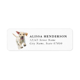 Labrador Retriever Returadressetiketter Returadress Etikett