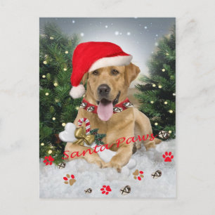 Labrador Retriever Santa Gifts Helg Vykort