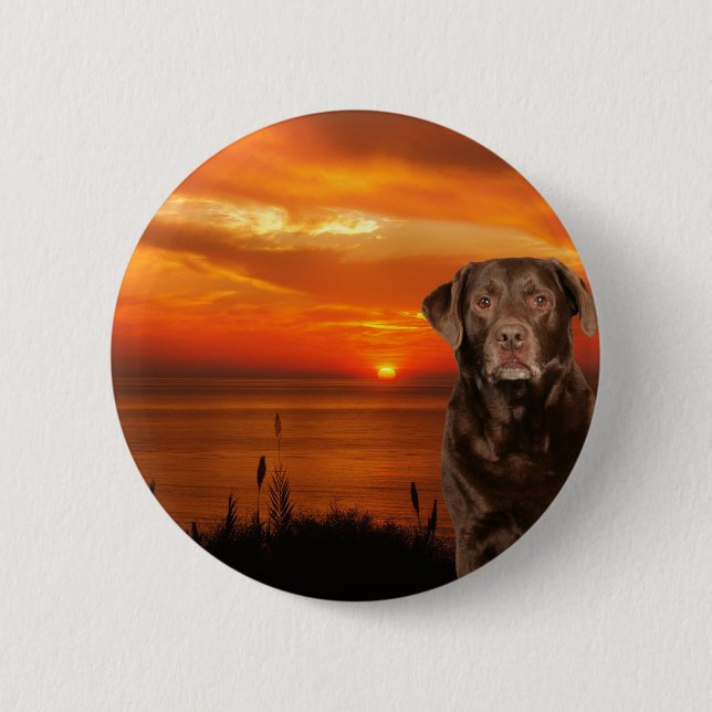 Labrador Retriever Sitta bredvid Sunset Hund Knapp (Framsida)