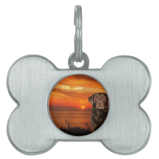Labrador Retriever Sitta bredvid Sunset Hund Namnbricka Husdjur (Framsidan)
