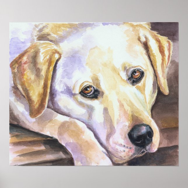Labrador Retriever Skriv ut Poster (Framsidan)