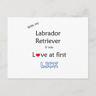 Labrador Retriever Slickar design Vykort