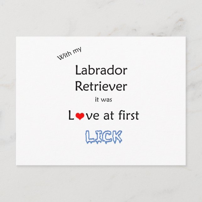 Labrador Retriever Slickar design Vykort (Framsida)