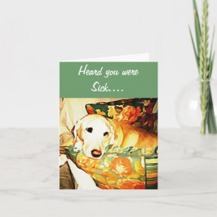 Labrador Retriever Snart Bättre Kort