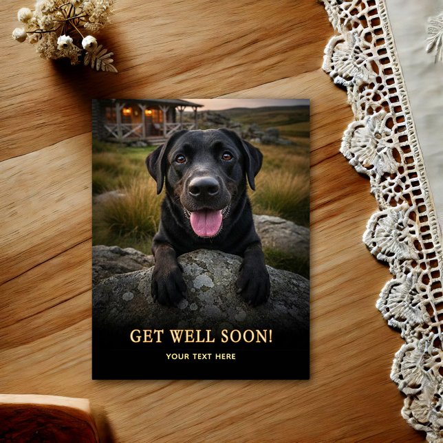 Labrador Retriever Snart Frisk Igen Postkort  Vykort (Skapare uppladdad)