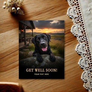 Labrador Retriever Snart Frisk Igen Postkort Vykort