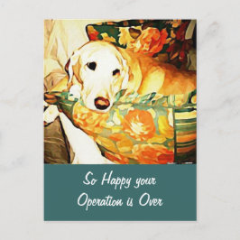 Labrador Retriever Snart Frisk Kort