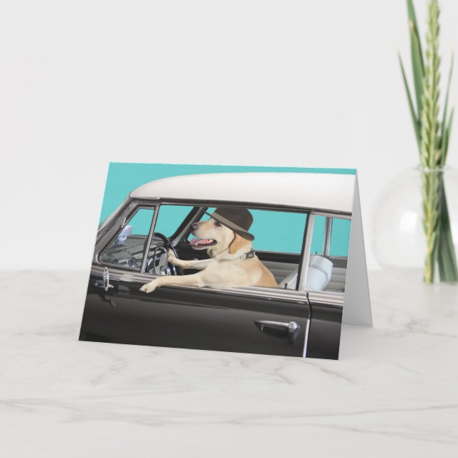 Labrador Retriever som kör klassisk bil Kort (Framsida)