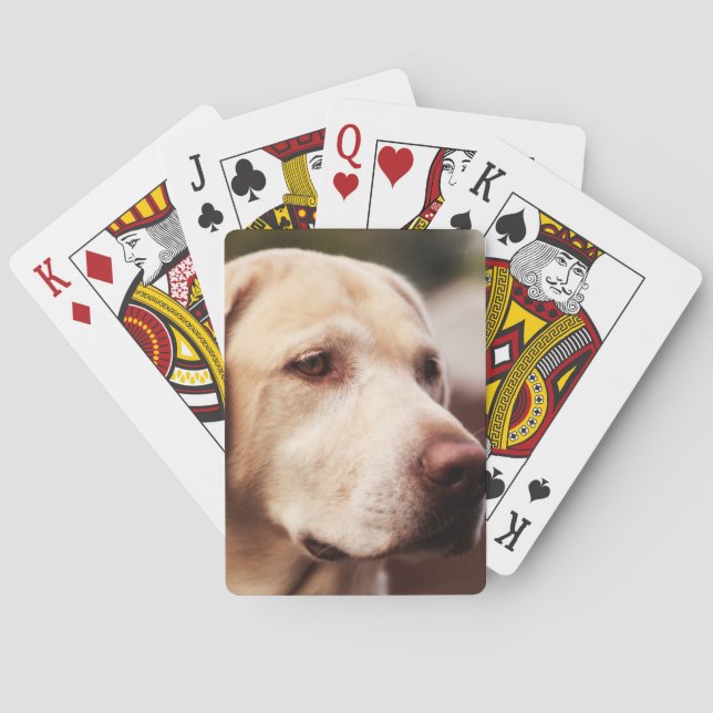 Labrador Retriever Spel Kort (Baksidan)