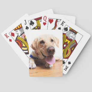 Labrador Retriever Spelkort