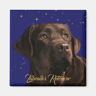 Labrador Retriever Starry Himlar Magnet
